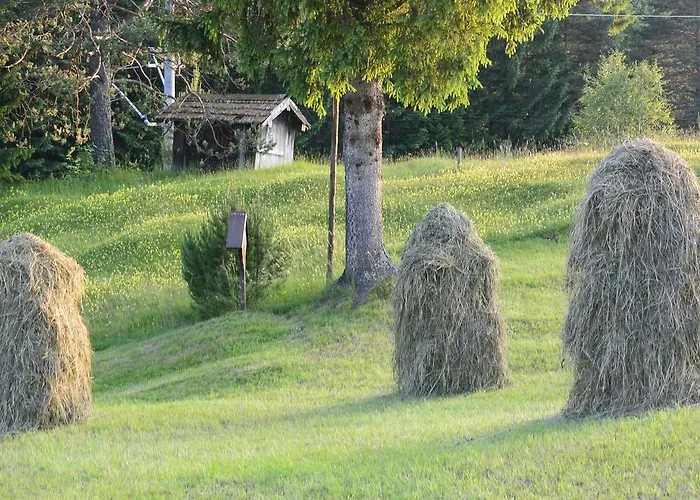 Gasthuis Gaestehaus Doering Mittenwald